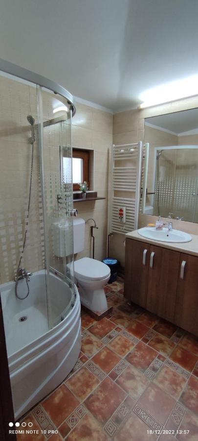 Călimăneşti View Coziaヴィラ エクステリア 写真