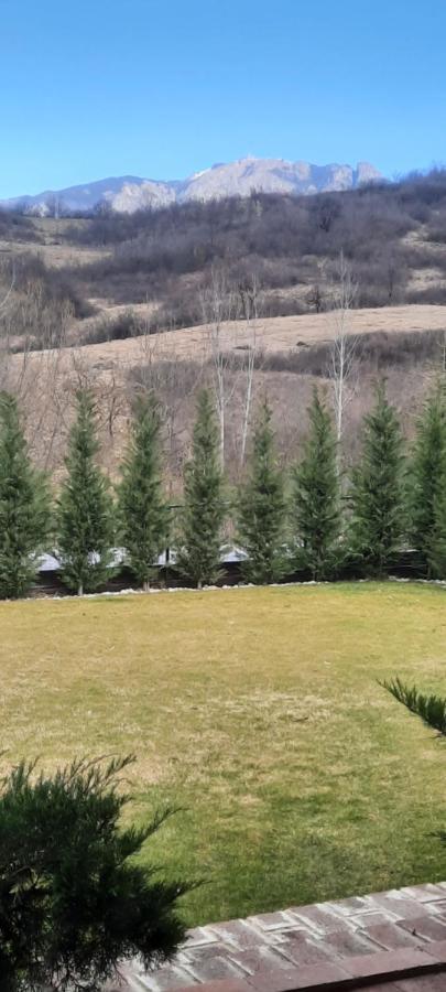 Călimăneşti View Coziaヴィラ エクステリア 写真