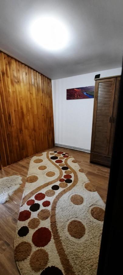 Călimăneşti View Coziaヴィラ エクステリア 写真