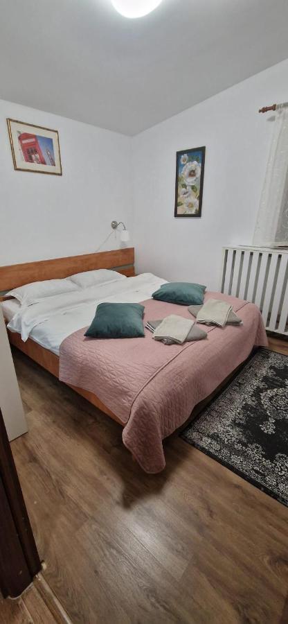 Călimăneşti View Coziaヴィラ エクステリア 写真