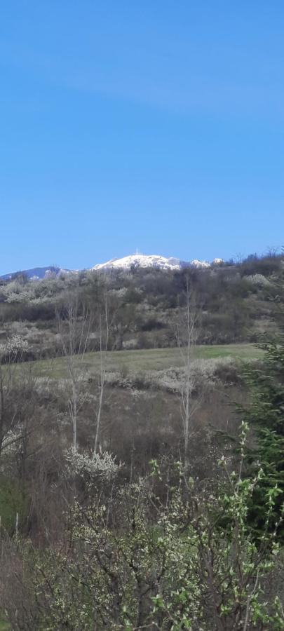 Călimăneşti View Coziaヴィラ エクステリア 写真